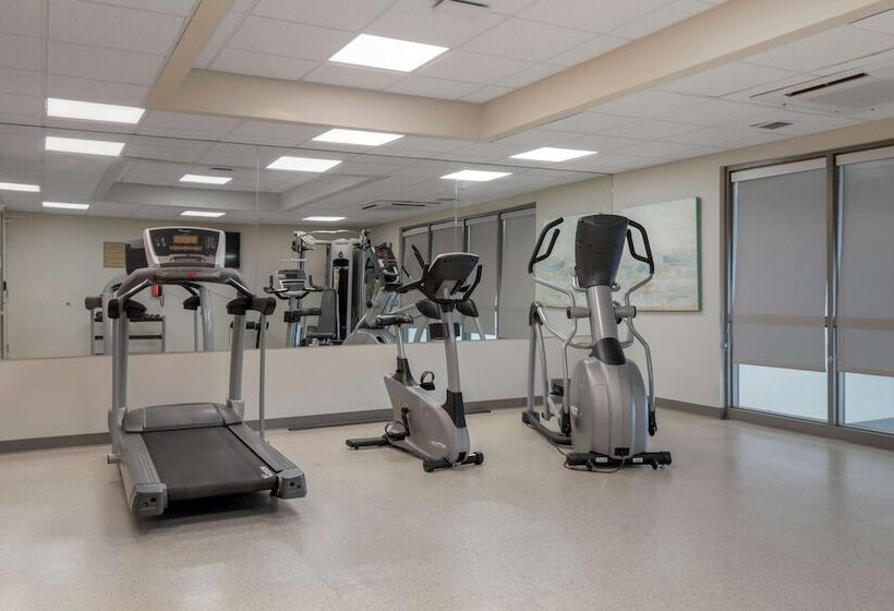 בית מלון כפרי Best Western Plus Airport Inn & Suites