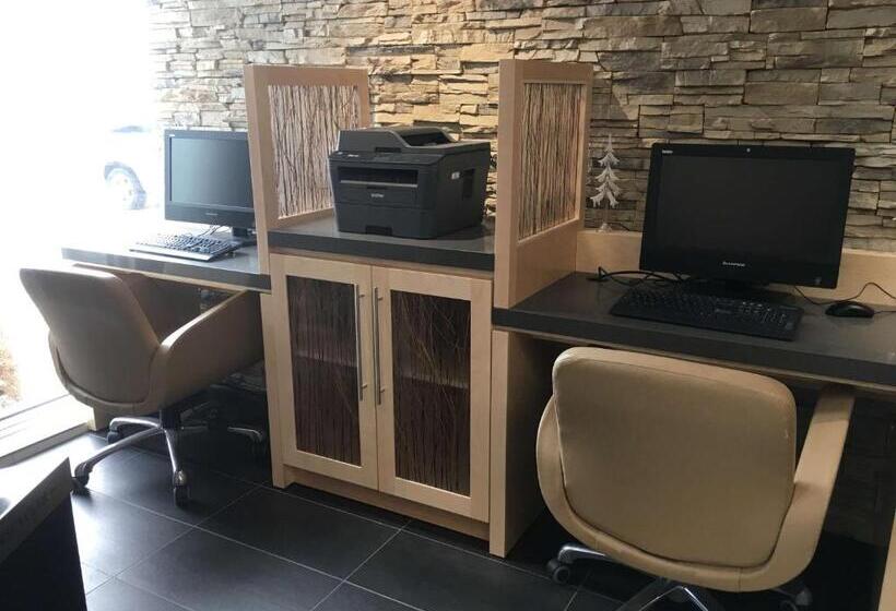 בית מלון כפרי Best Western Plus Airport Inn & Suites