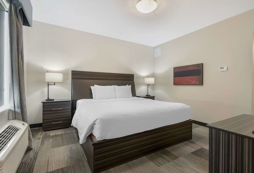 בית מלון כפרי Best Western Plus Airport Inn & Suites