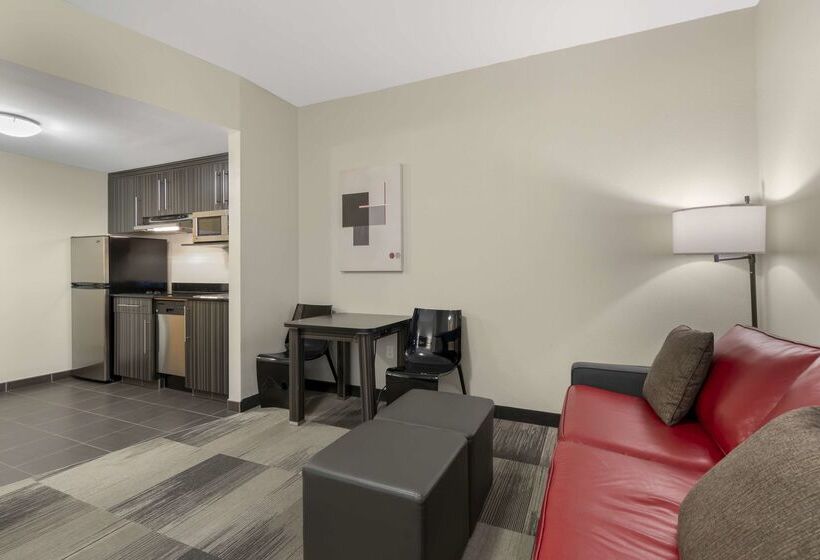 בית מלון כפרי Best Western Plus Airport Inn & Suites