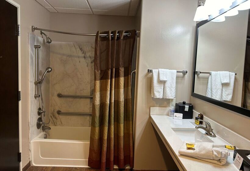 فندق Best Western Plus Zion West