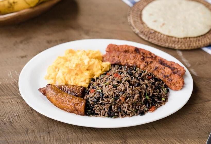 בית מלון כפרי Boyeros