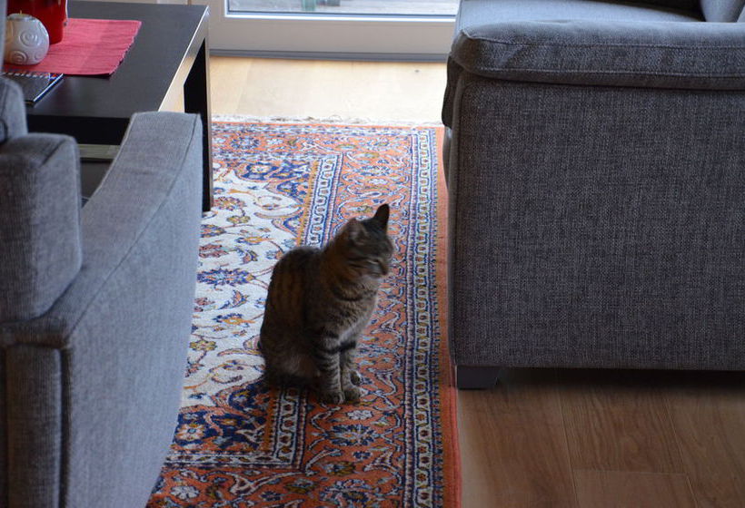 בית מלון כפרי Doris Musill´s Lebensfreude