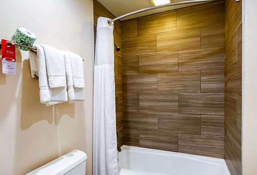 ホテル Econo Lodge San Bernardino I  215