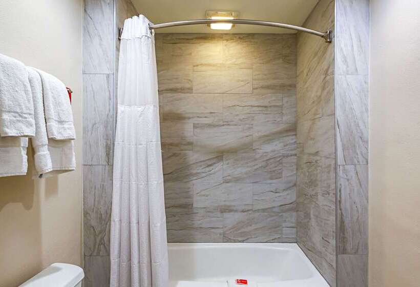 ホテル Econo Lodge San Bernardino I  215