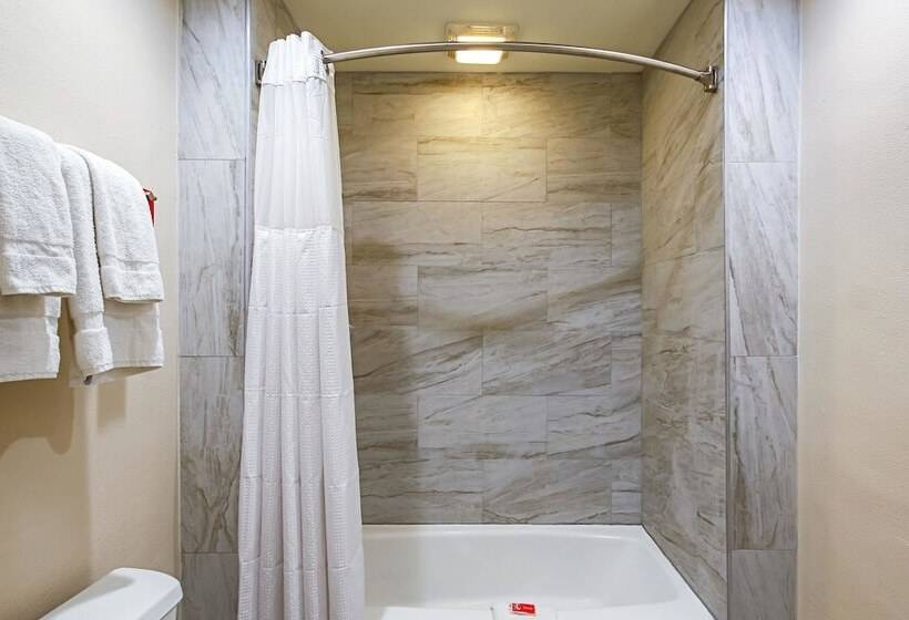 ホテル Econo Lodge San Bernardino I  215