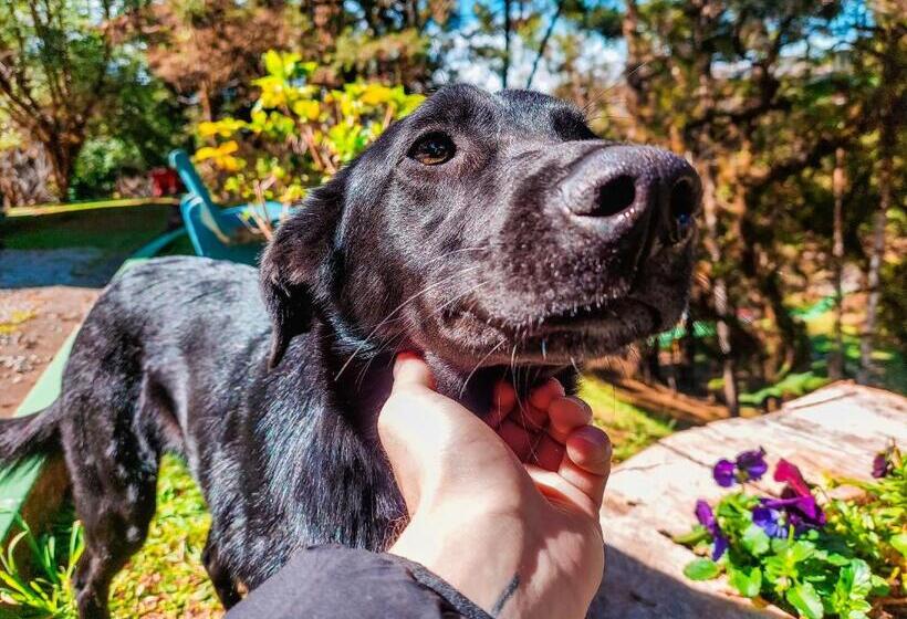 ホテル Fazenda Golden Park Campos Do Jordão