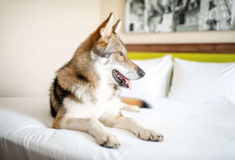 Отель Hampton By Hilton Krakow