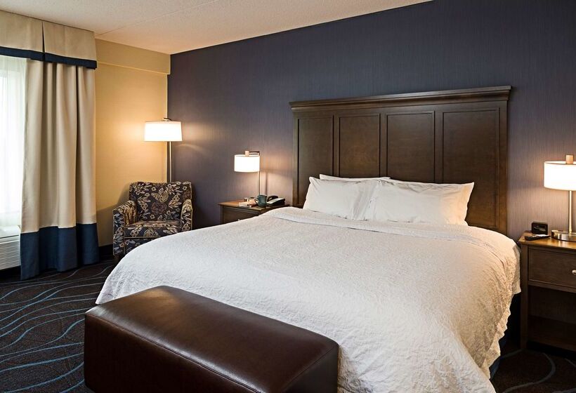 ホテル Hampton Inn By Hilton Ottawa Airport, On, Cn