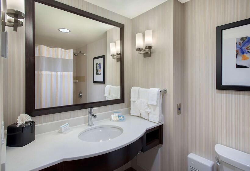 هتل Hilton Garden Inn Chicago Downtown Riverwalk