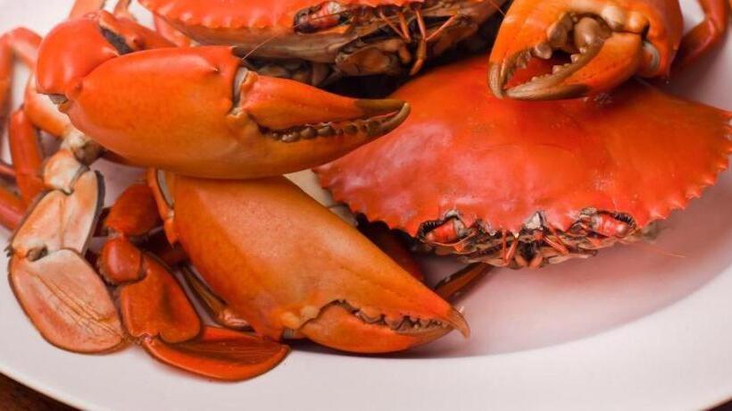 בית מלון כפרי Horison Samarinda