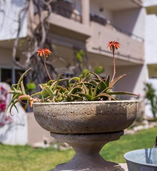 호텔 Jimmy’s Garden