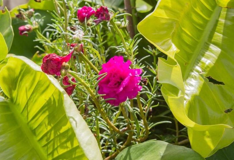 Отель Parque Do Sol