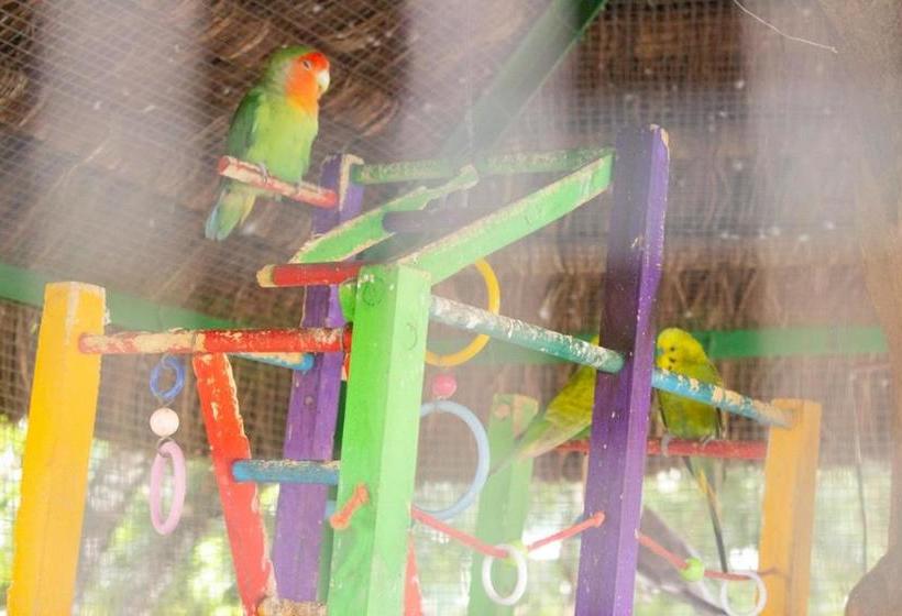 Отель Parque Do Sol