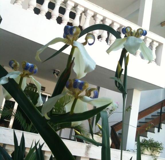 هتل Nova Pousada Do Canal