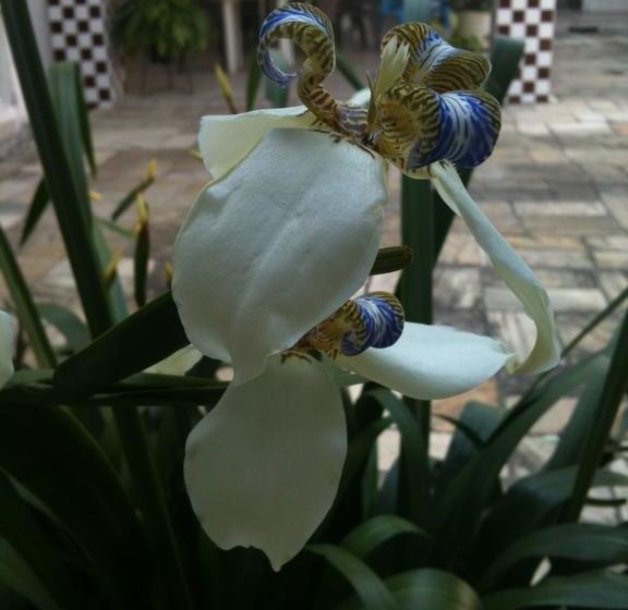 هتل Nova Pousada Do Canal