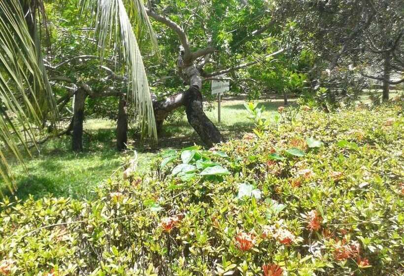 Отель Pousada Murici