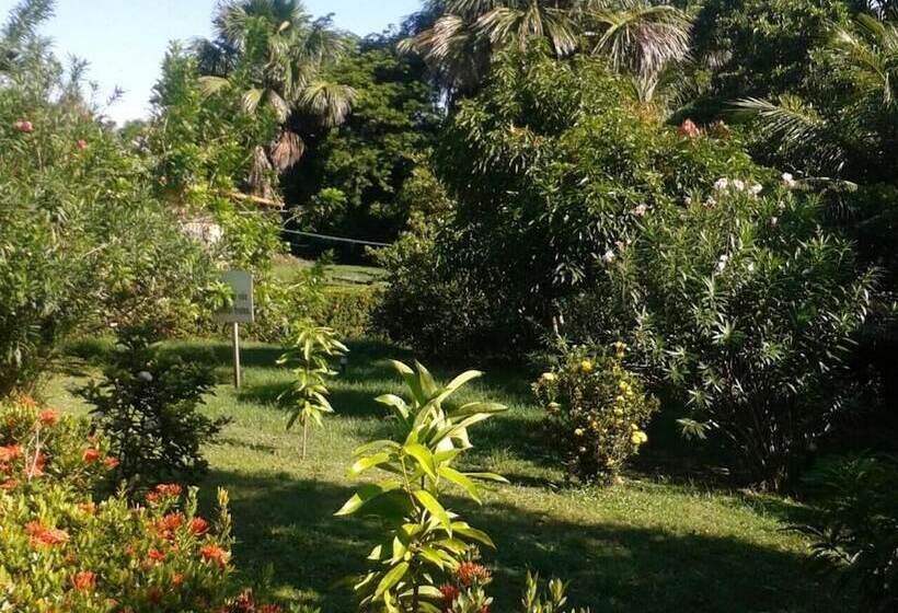 Отель Pousada Murici