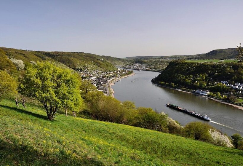 Отель Rheinkönig