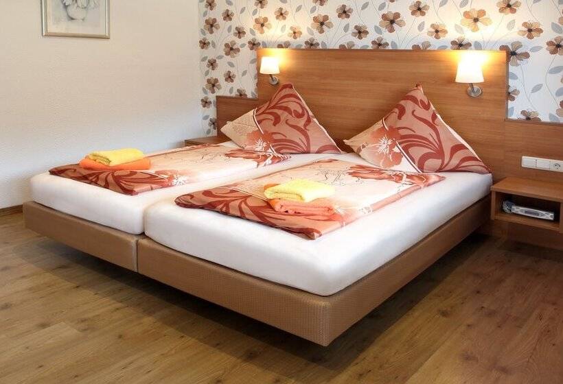 Отель Rheinkönig