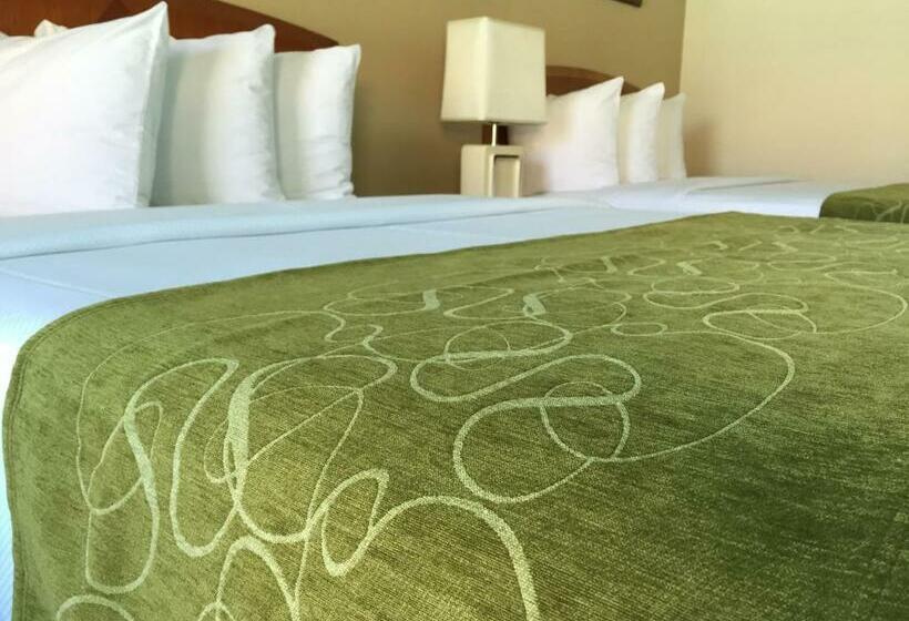 Отель Seasons Florida Resort