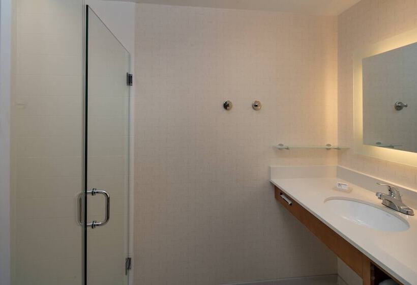 酒店 Springhill Suites By Marriott Nashville Vanderbilt/west End