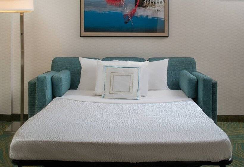 酒店 Springhill Suites By Marriott Nashville Vanderbilt/west End