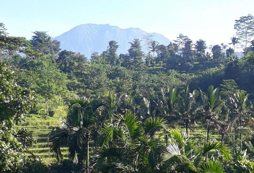 בית מלון כפרי Surya Shanti Villa Sidemen