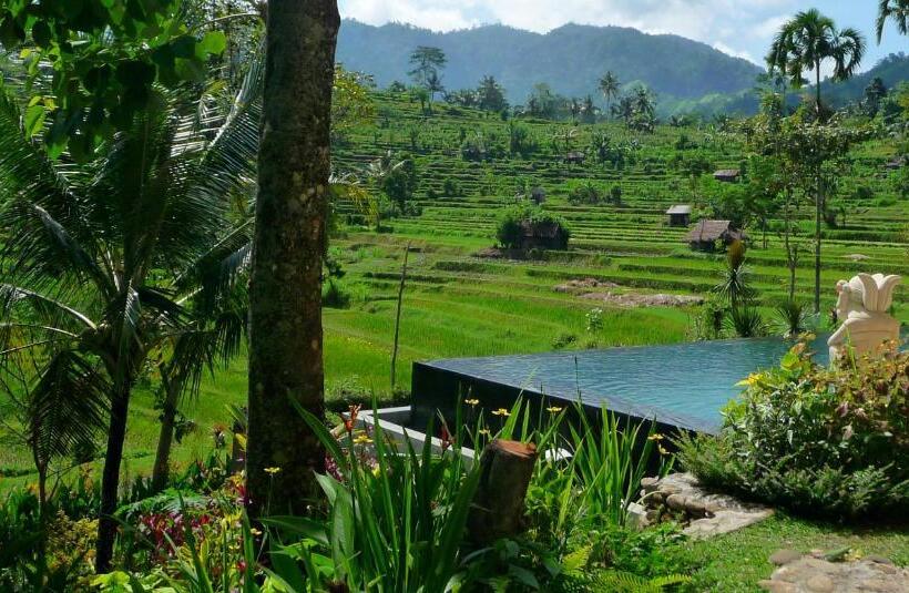 בית מלון כפרי Surya Shanti Villa Sidemen