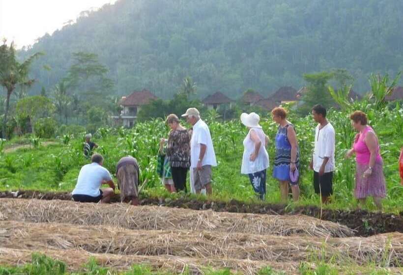 בית מלון כפרי Surya Shanti Villa Sidemen