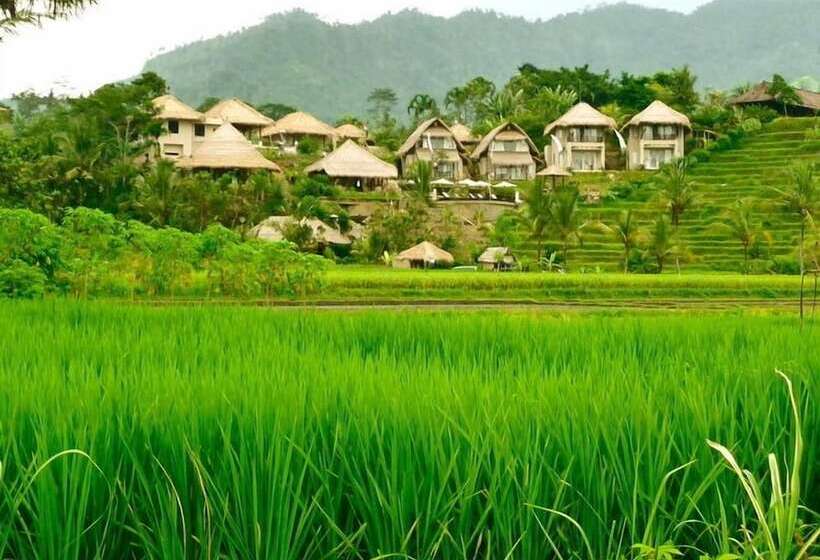 בית מלון כפרי Surya Shanti Villa Sidemen