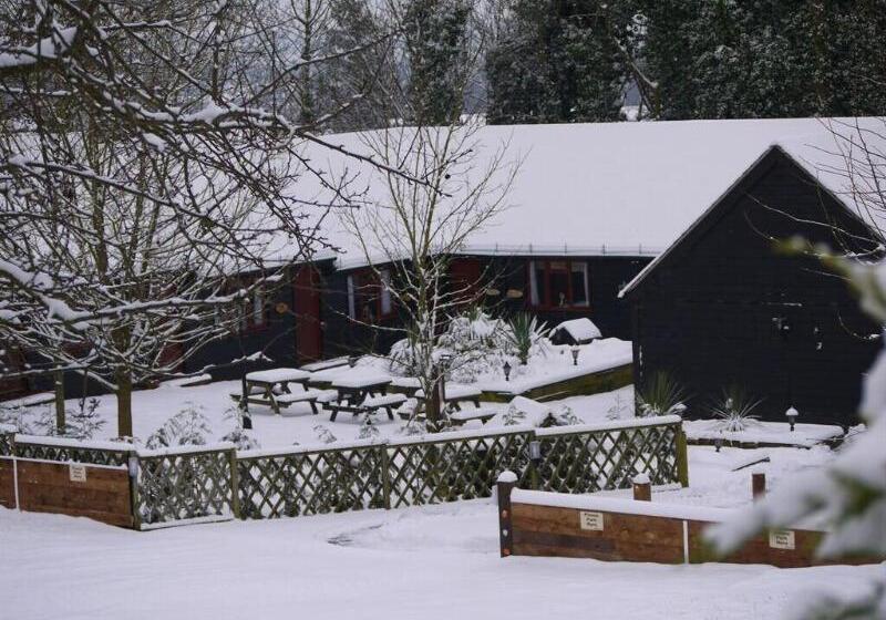 בית מלון כפרי The Black Horse Inn