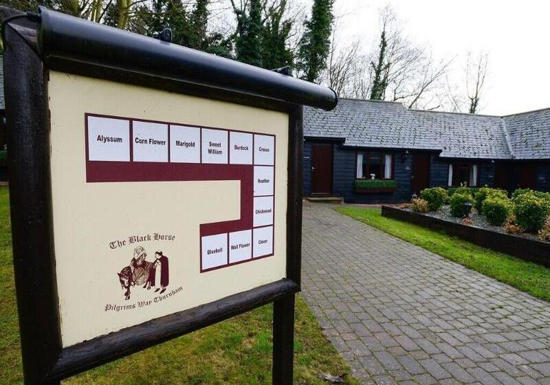 בית מלון כפרי The Black Horse Inn