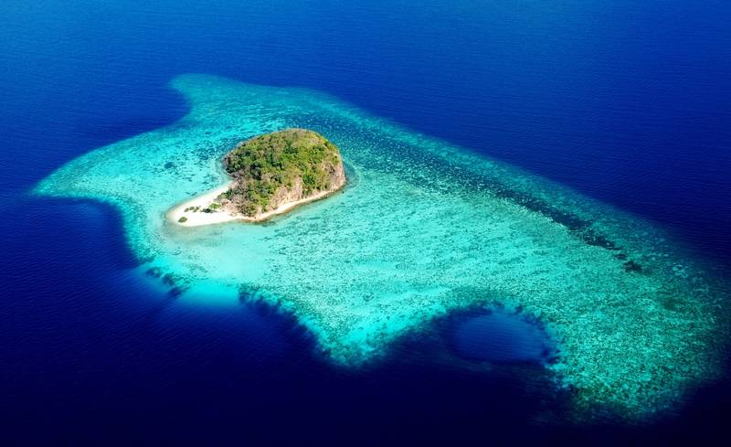 هتل The Funny Lion   Coron