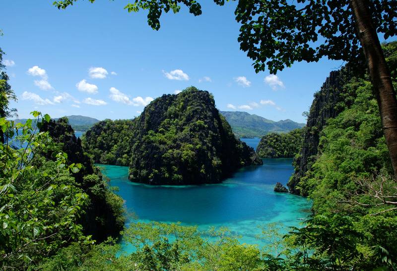 هتل The Funny Lion   Coron