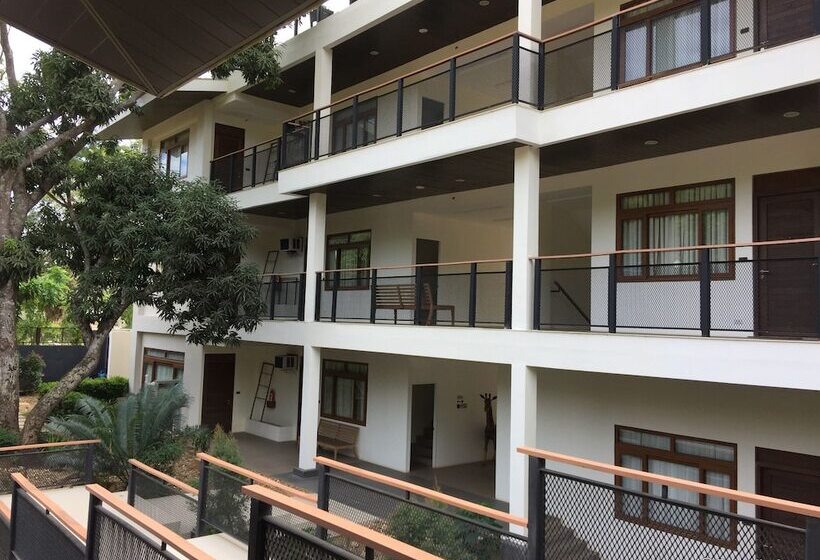 هتل The Funny Lion   Coron