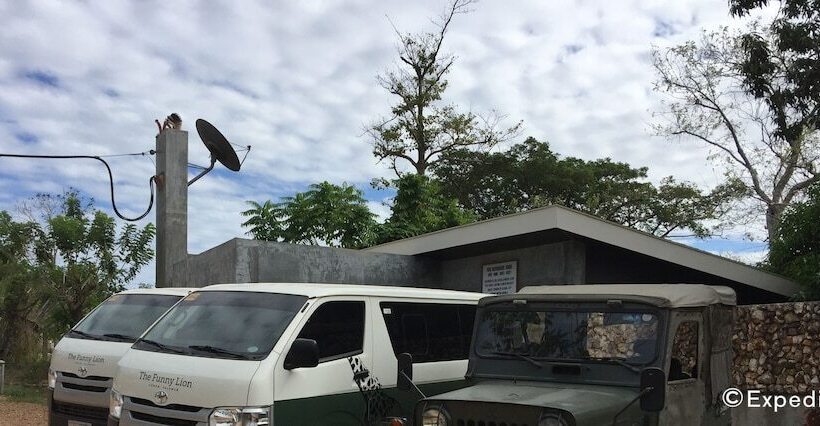 هتل The Funny Lion   Coron