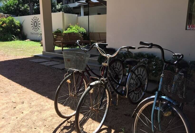 هتل The Funny Lion   Coron