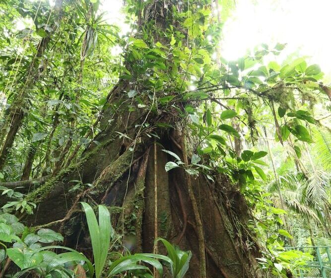 فندق Tirimbina Rainforest Lodge