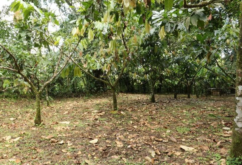 فندق Tirimbina Rainforest Lodge