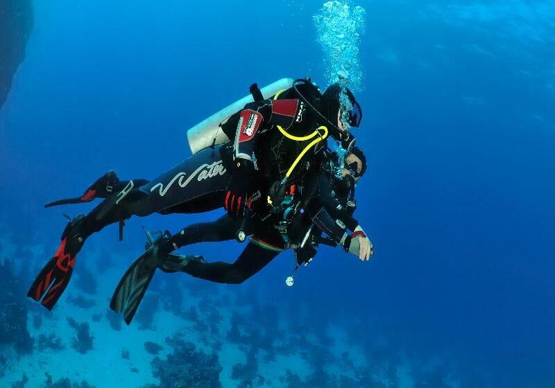 בית מלון כפרי Villa Vela Luka