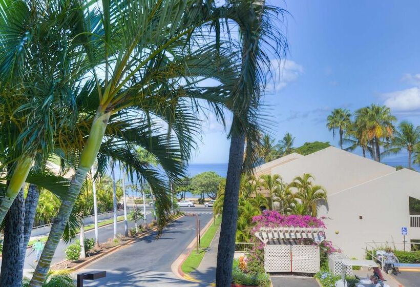 Maui Banyan   Maui Condo & Home