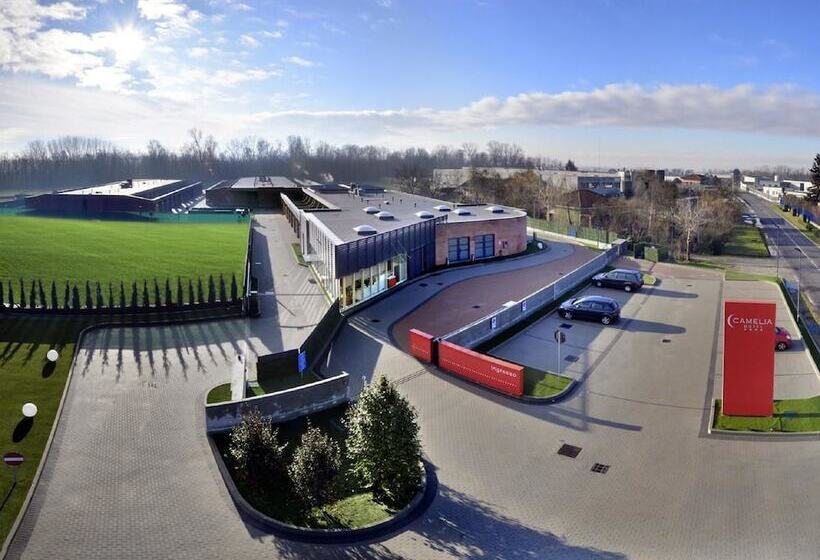 Мотель Camelia