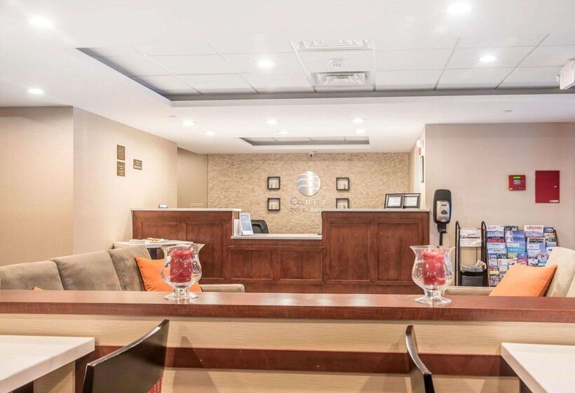 فندق على الطريق Comfort Inn & Suites Brattleboro I 91