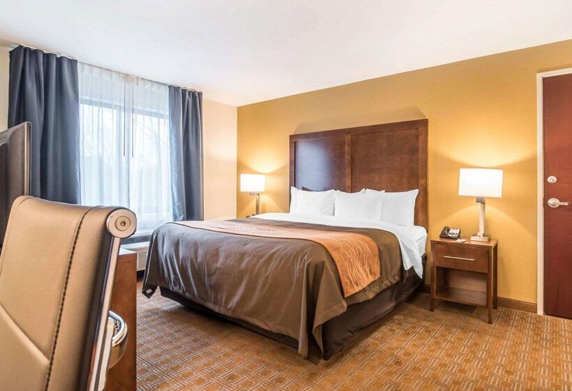 فندق على الطريق Comfort Inn & Suites Brattleboro I 91