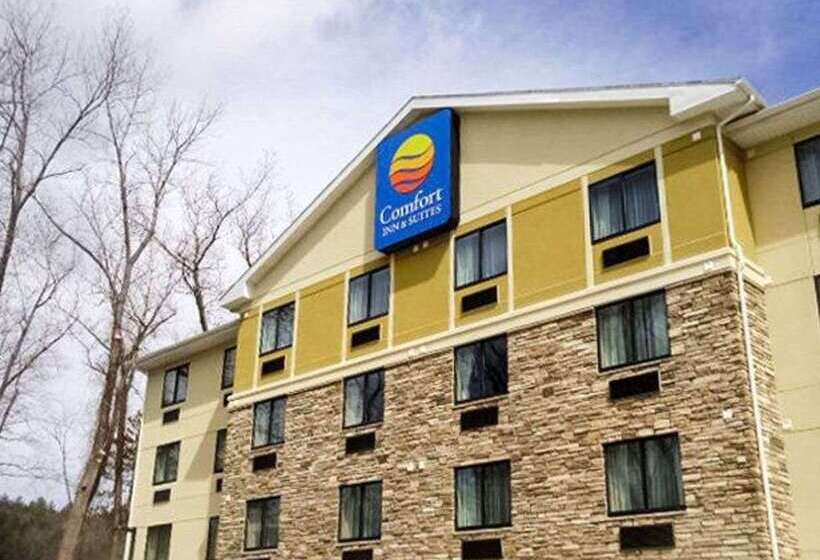 فندق على الطريق Comfort Inn & Suites Brattleboro I 91