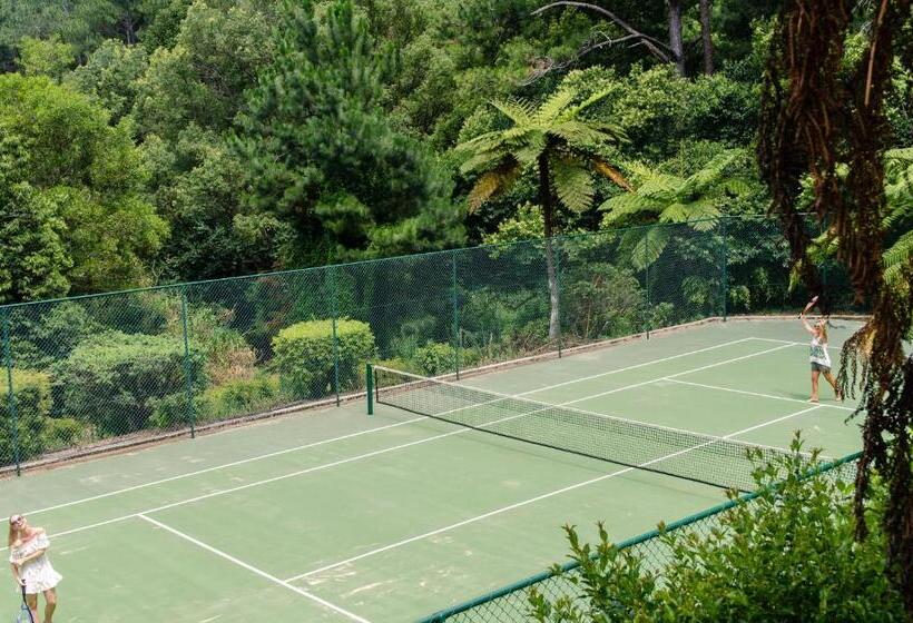 מוטל Montville Mountain Inn