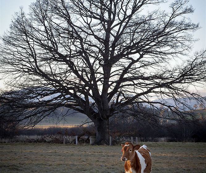 Old Wesleydale Heritage Accommodation