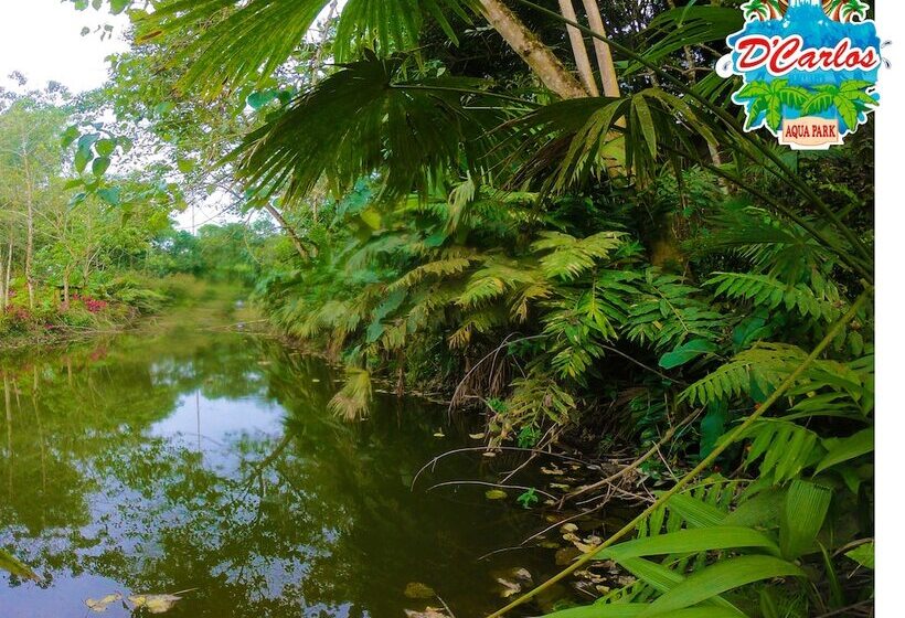 پانسیون Hostería D Carlos