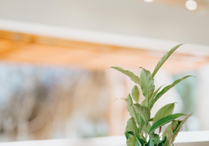 펜션 Residencia El Balata